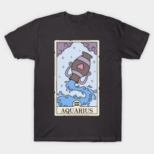 Aquarius card T-Shirt